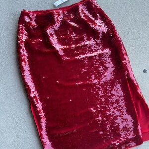Red Sequin Skirt
